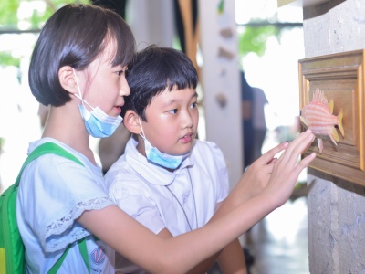 建设儿童友好型城市，深圳公园打造6个自然教育中心