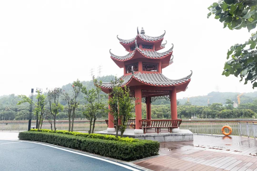 又一免费好去处！深圳这个公园面积足足有1027627㎡！