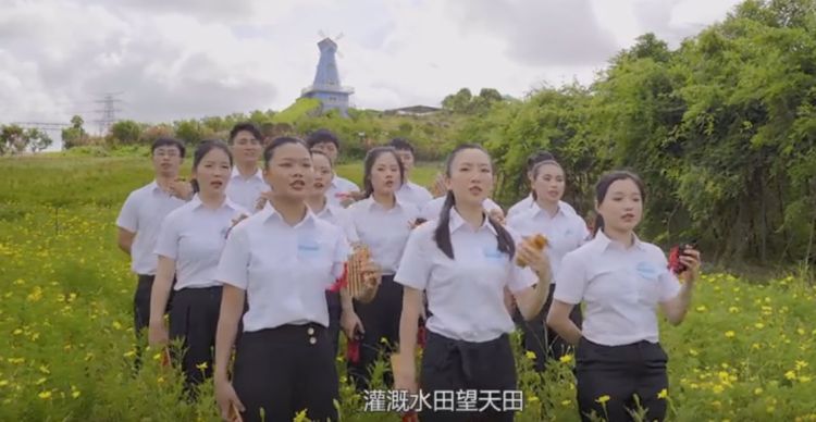 耕地保护有多重要？来听深圳宝安区这段普法宣传快板