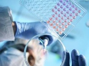 全美仅犹他州暂停经济重启计划，上周新冠肺炎确诊率激增