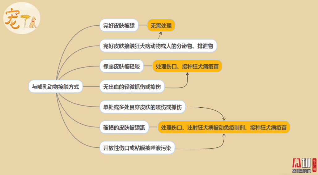养宠可致人死亡、致胎儿畸形？医生带你了解这两种疾病 