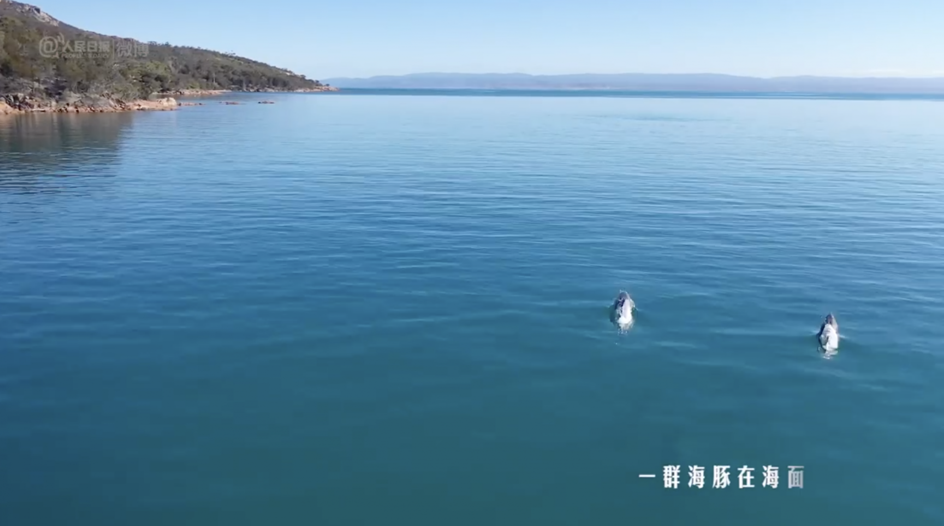 每一帧都超治愈！110秒航拍梦幻海洋