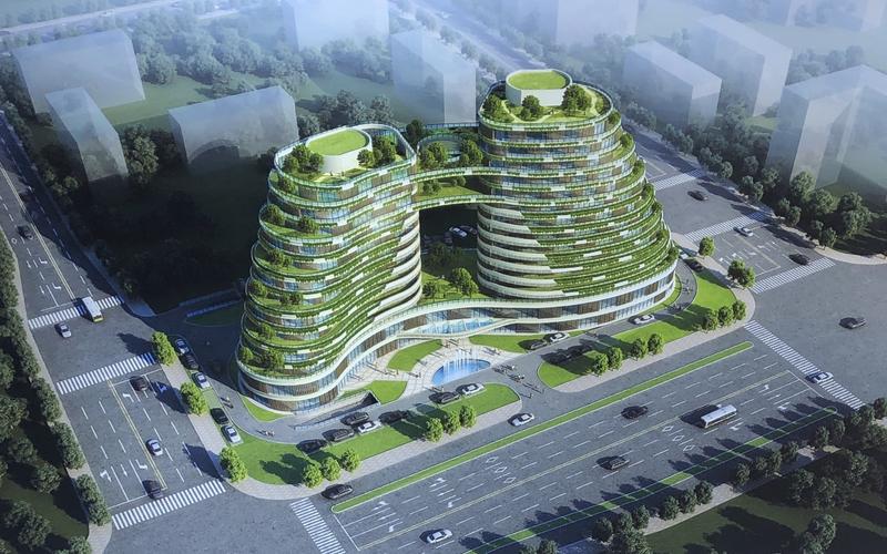山与海的连接——深圳大鹏助力“长寿乡”巴马整县脱贫纪实