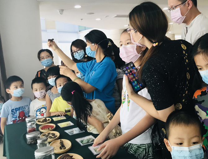 移动的“种子博物馆”在宝安妇儿大厦开展