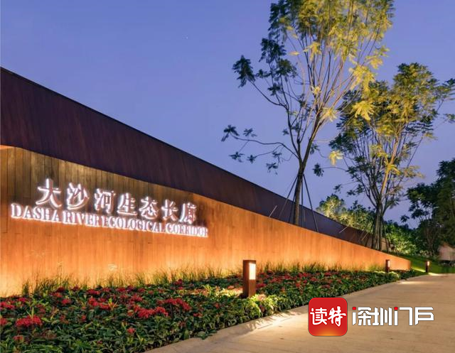 先行示范，深圳将创新基因融入红树林生态修复保护