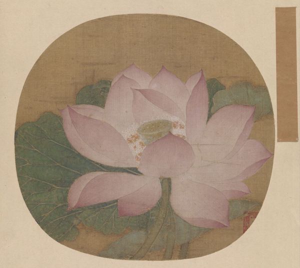 这些故宫的荷花，已“盛开”了千百年