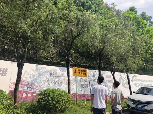 构筑生命安全防线！坪山打出“组合拳”精细化防控地质灾害