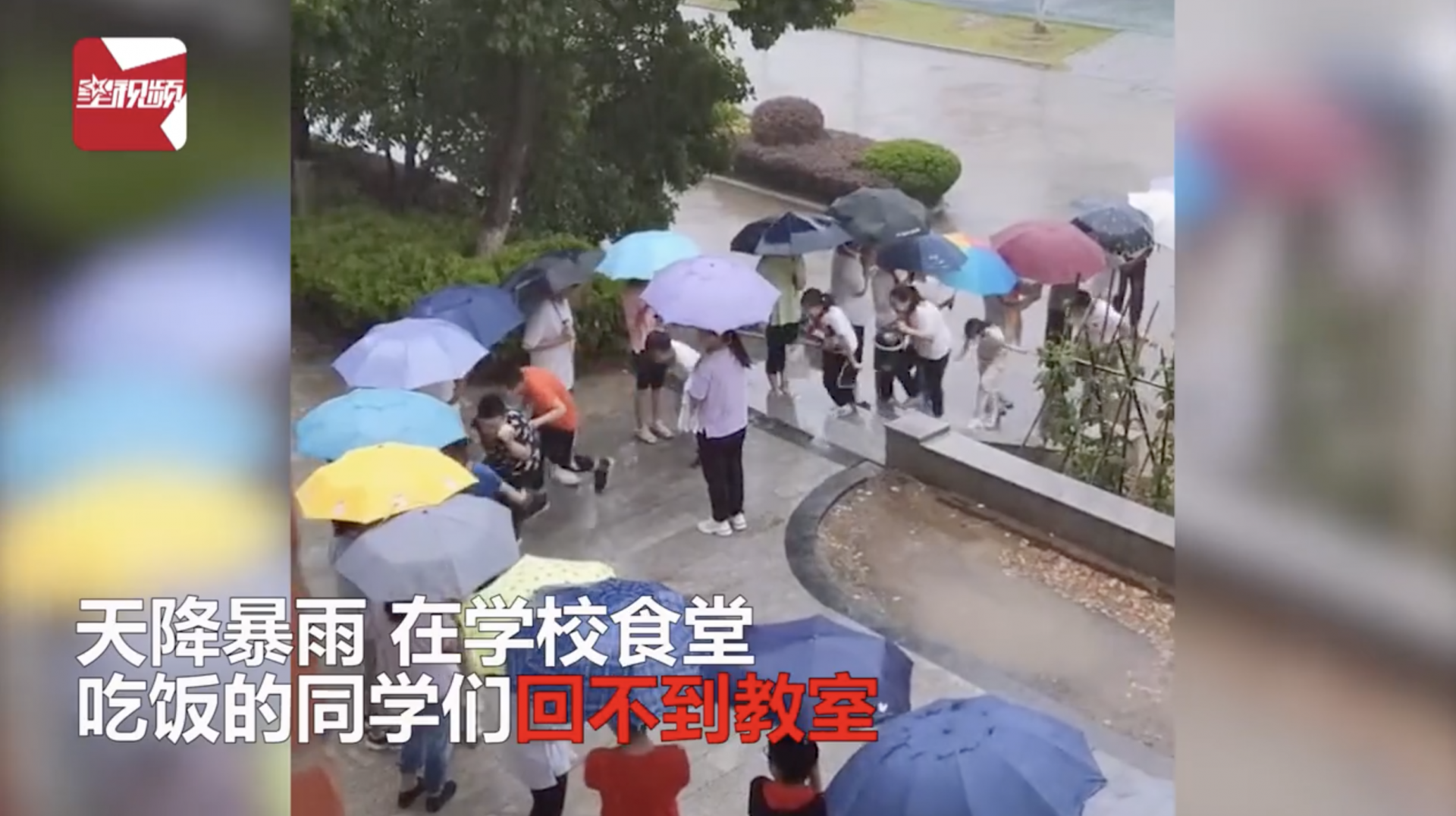 雨天高年级为低年级搭爱心伞桥