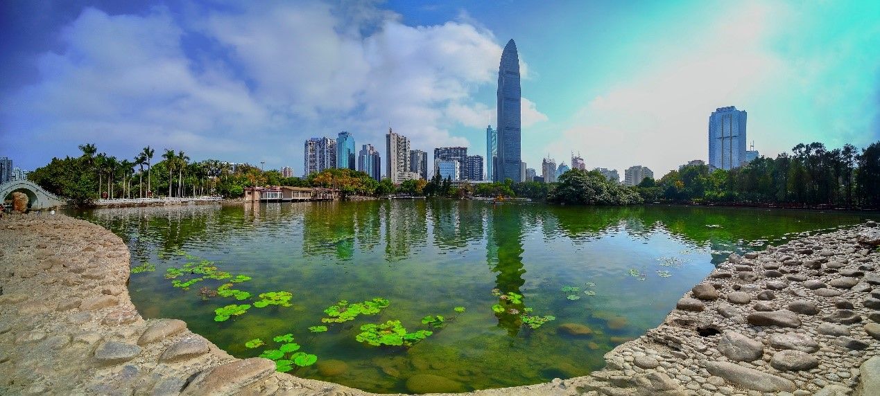 荔枝湖水清景美入画来