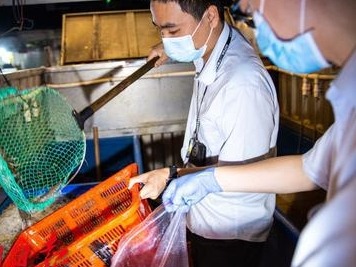 广州花都4~6月份水产品监督抽查结果显示全部合格