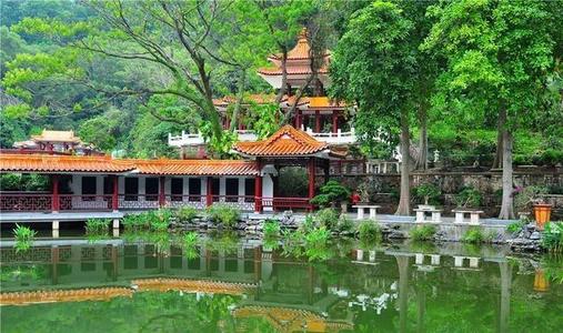 “鹦鹉”来袭，深圳仙湖植物园、梧桐山风景区临时关闭