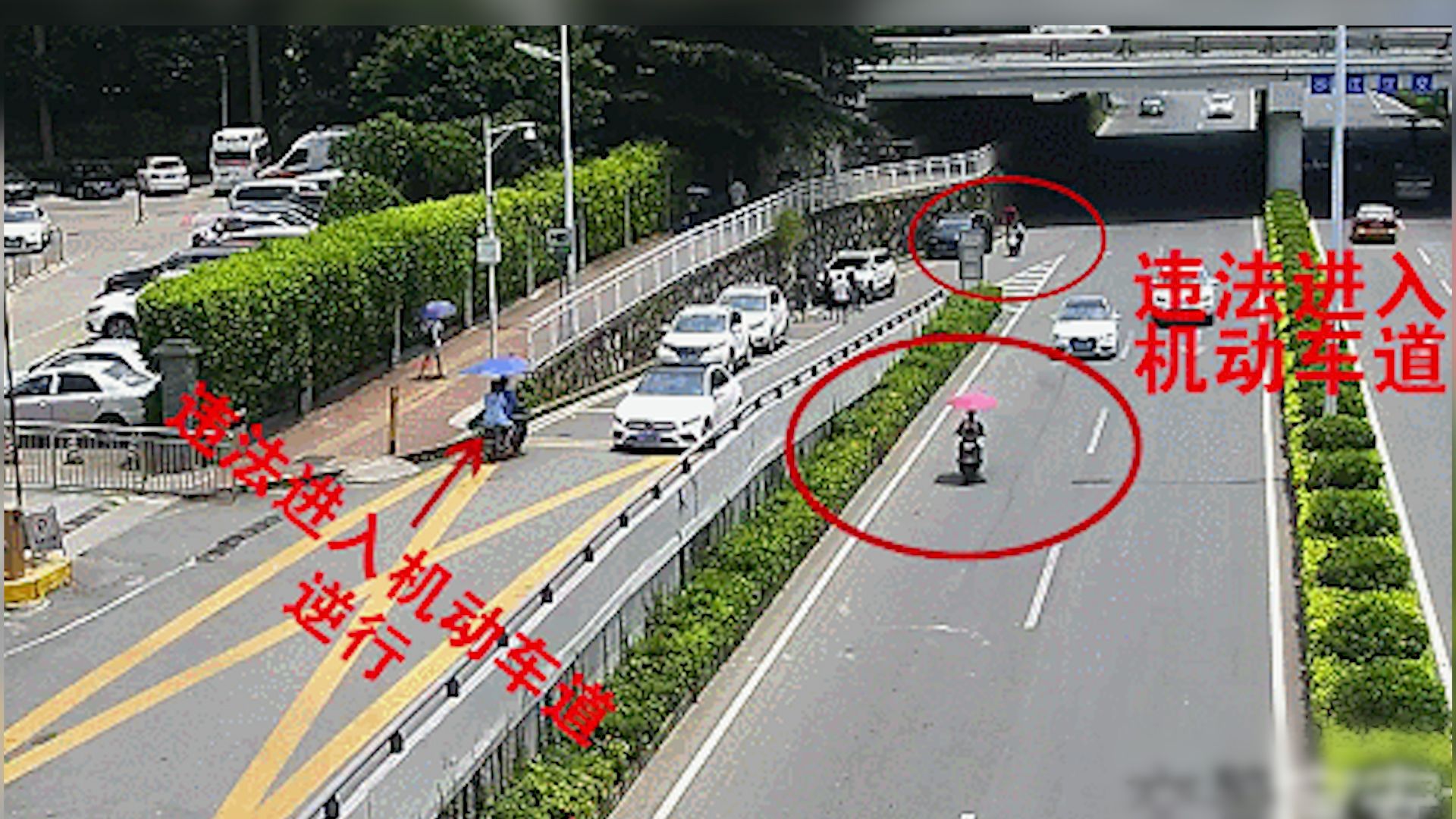 新闻路上说说说丨深圳电动二轮车有“身份证”了！