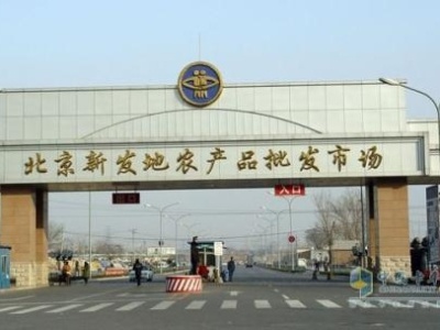 北京市14日新增新冠肺炎确诊病例36例 均与新发地市场有关