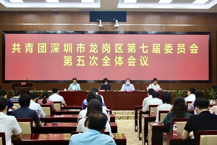 为“双区”建设不断注入青春力量！共青团深圳市龙岗区第七届委员会第五次全体会议顺利召开