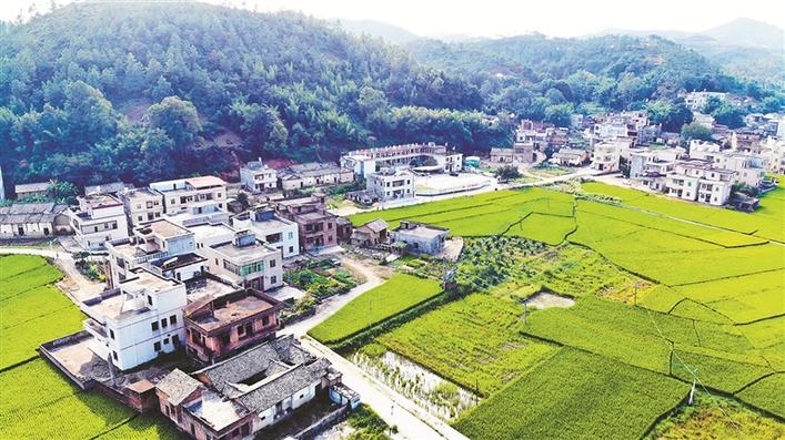 走向我们的小康生活 | 巴士集团精准扶贫帮助河源山区村民脱贫致富