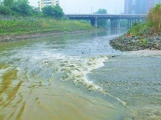 覆盖全省七大流域，广东全面启动全省入河（海）排污口排查整治专项行动
