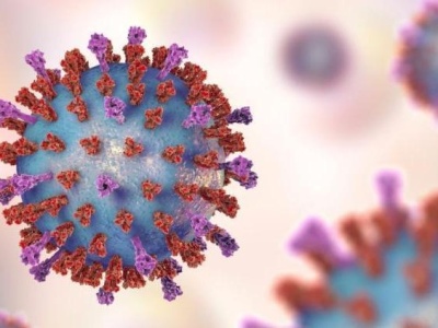 欧洲疾控中心：新冠病毒“极有可能”通过空气中的颗粒传播