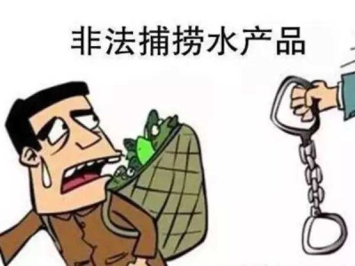 斩断长江流域非法捕捞渔获物市场销售产业链