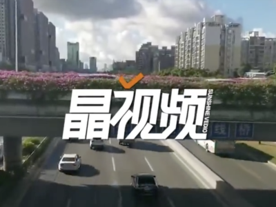 深圳限行执法首日，2821辆外地车冲禁令被警告