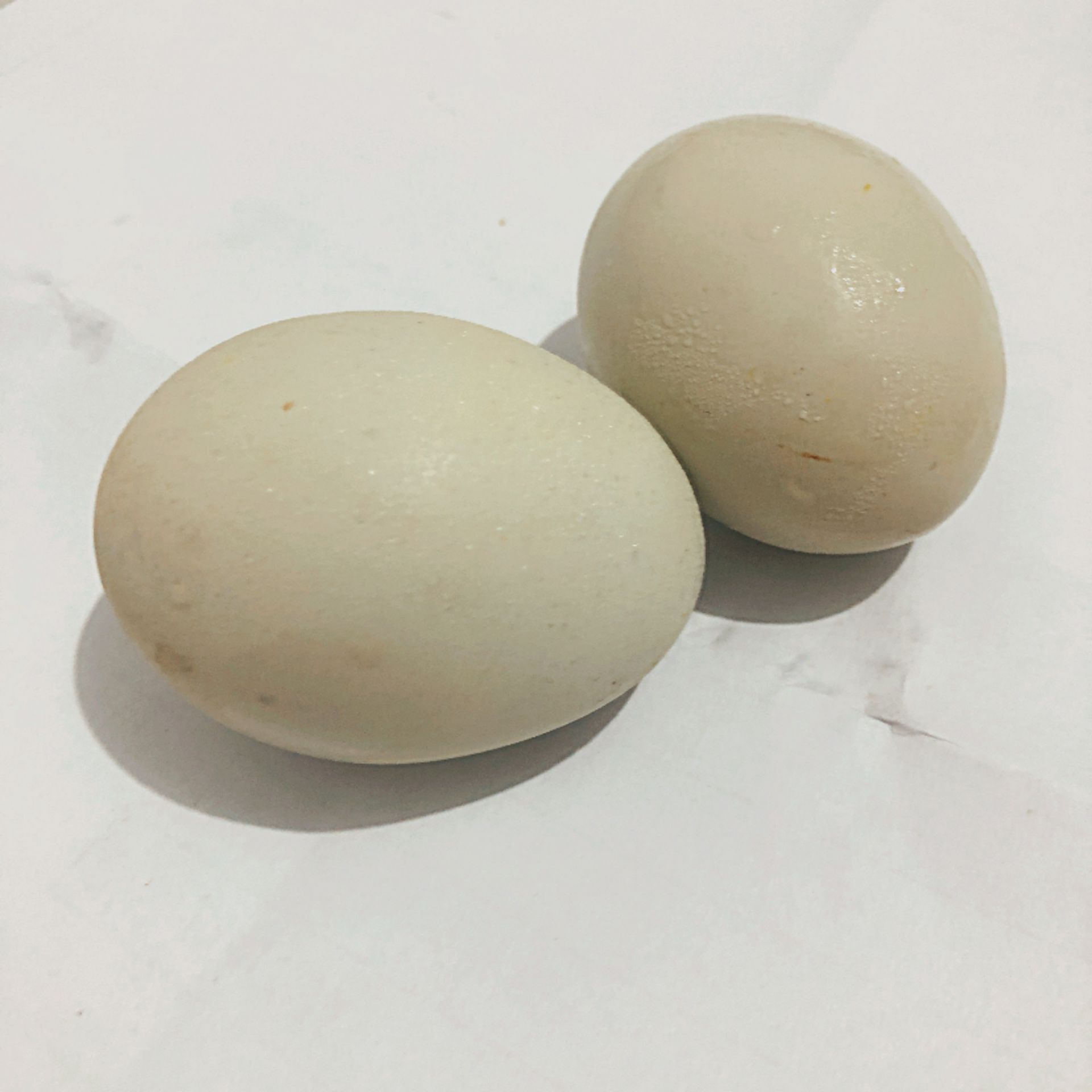 （食安-科普园地）关于鸡蛋，你的误解有多深？