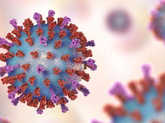 韩国一调查显示人们更可能被家人传染新冠病毒