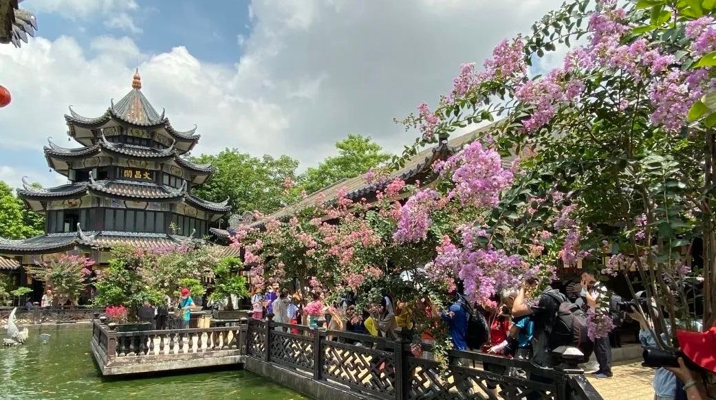 好消息！“幸福年”系列活动助力番禺区文旅复苏