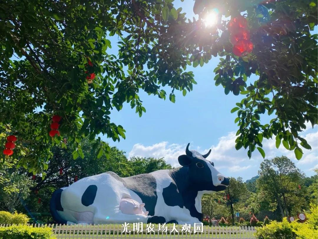 夏已至，暑意长，光明农场大观园静候你到访！