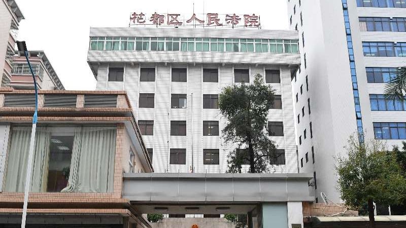 狗狗在宠物会所内咬人，谁担责？法院：狗主全责