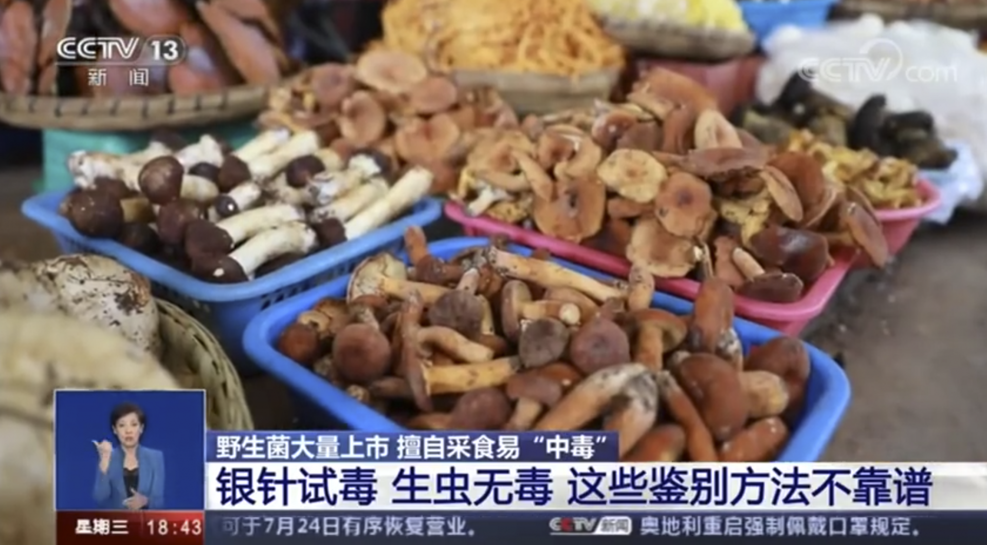 注意！用银针鉴别毒蘑菇不靠谱