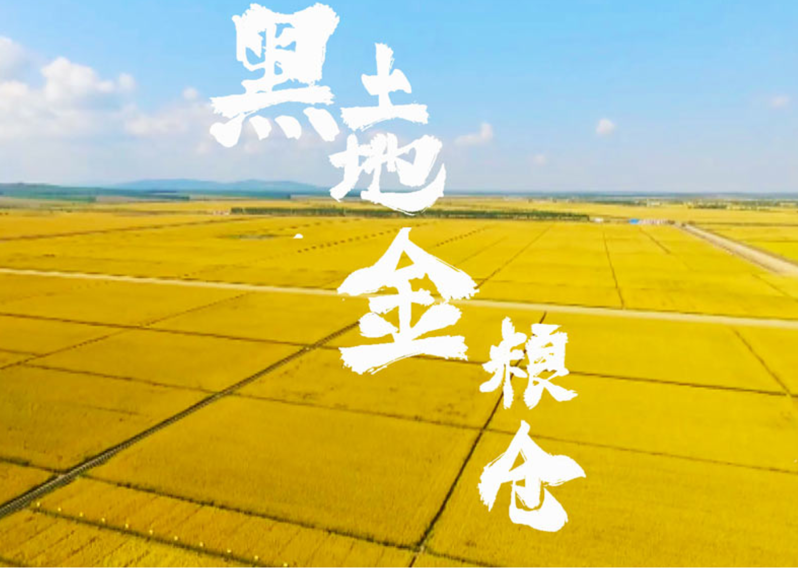 总书记牵挂的这方黑土地 是大有可为的热土