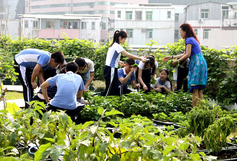 怎么教？怎么做？如何评？——三问劳动教育“硬核”要求咋落实？