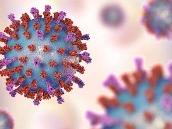 国家卫健委专家：新冠病毒不会在外环境自我复制、增殖