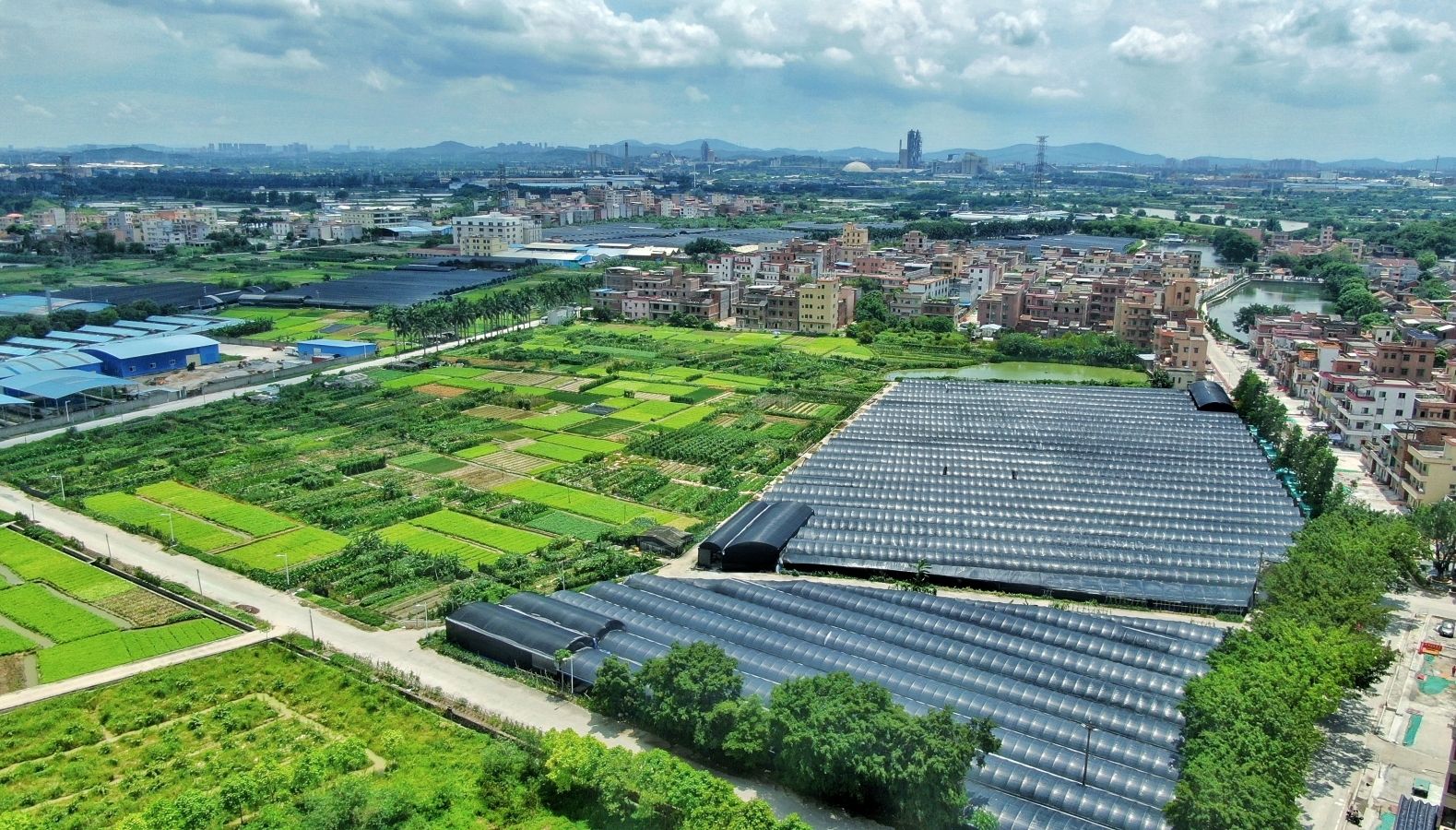 新增69条市级美丽乡村，广州将打造美丽乡村群
