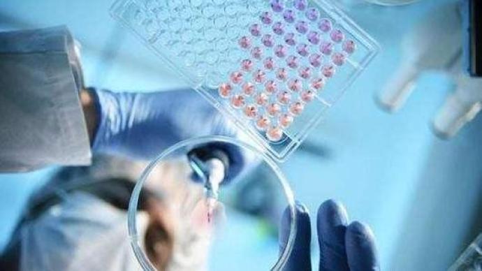 沙特新增4193例病例，成中东第三个确诊数超20万国家