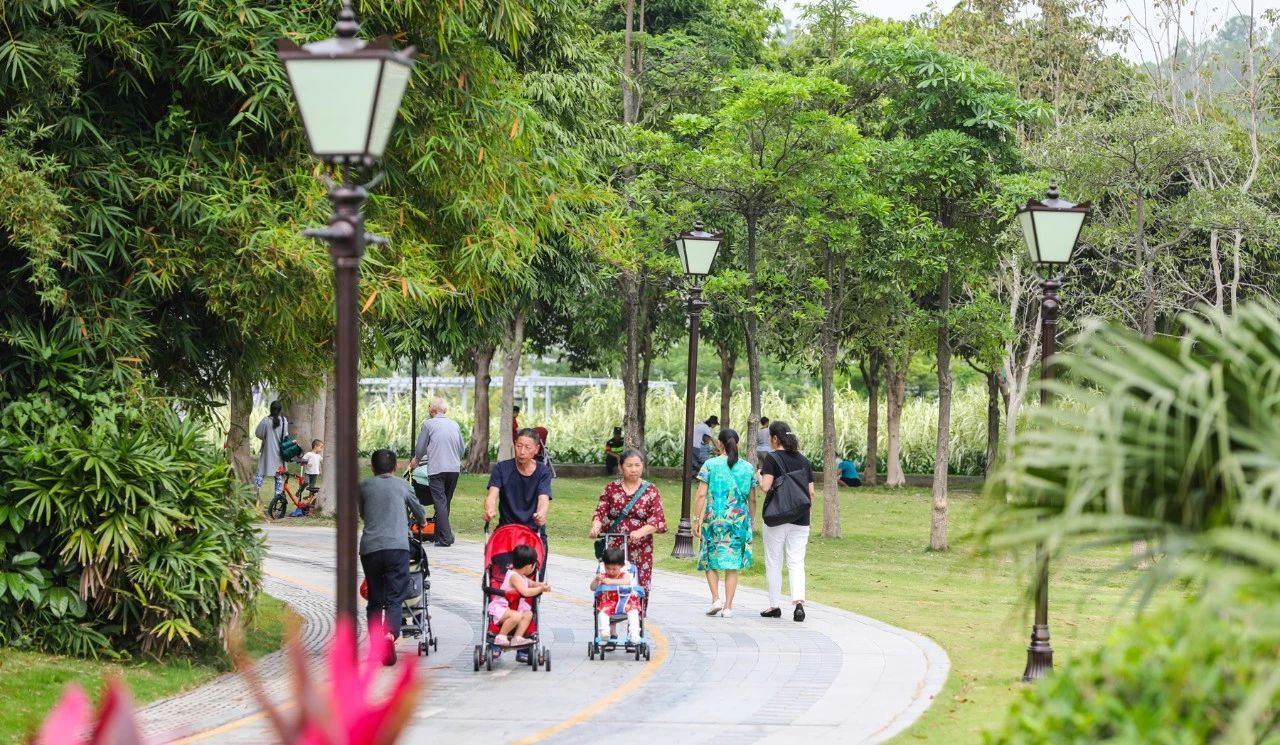 基层 | 把城区当小区精细管理，坪山探索城市管理运营新路径