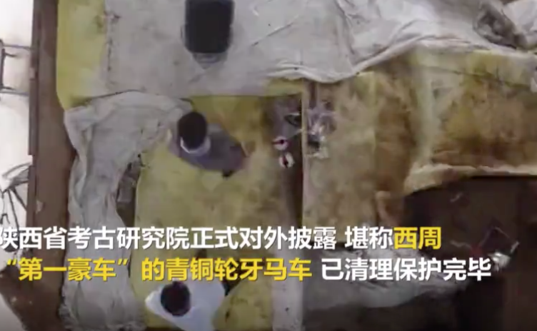 2800年前西周“第一豪车”清理重现