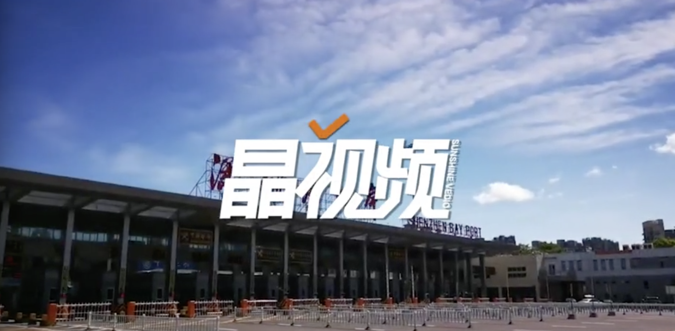 跨境货车经深圳口岸入境新措施实施 现场返港车流疏导有序