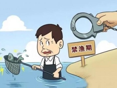 禁渔令下长江偷捕仍未禁绝，捕捞、运输、销售形成非法利益链