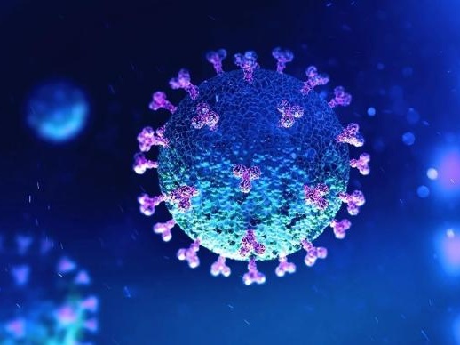 以色列研究显示：维生素D水平低者更易感染新冠病毒