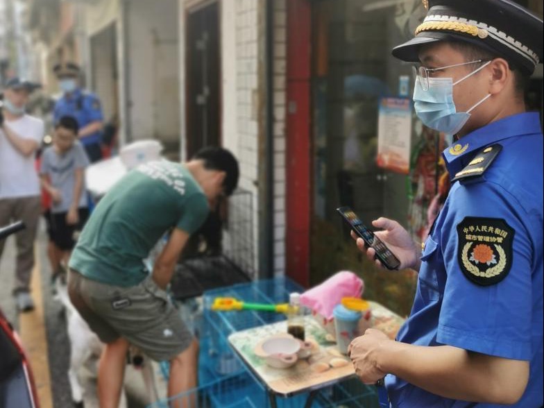 遛狗不牵绳？零容忍！不文明养犬行为持续严管严治