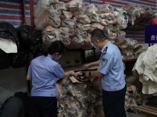 广州市黄埔海关成功破获5亿元牛皮走私大案