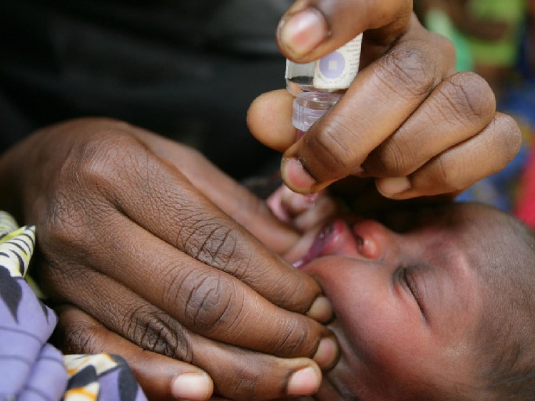 世卫组织宣布非洲根除野生脊灰病毒