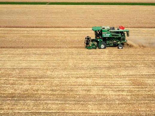国家粮食和物资储备局：中国稻麦库存均能满足1年以上需求