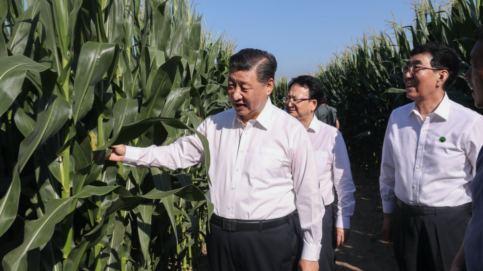 一枝一叶总关情丨让农民挑上“金扁担”