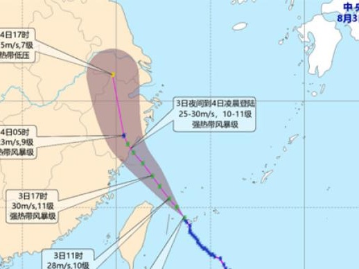 中国气象局启动三级应急响应，全力做好台风黑格比预报预警