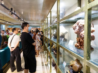 250多件奇石艺术品在东莞展出