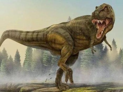 癌症也会侵袭恐龙 有角恐龙化石中发现骨肉瘤