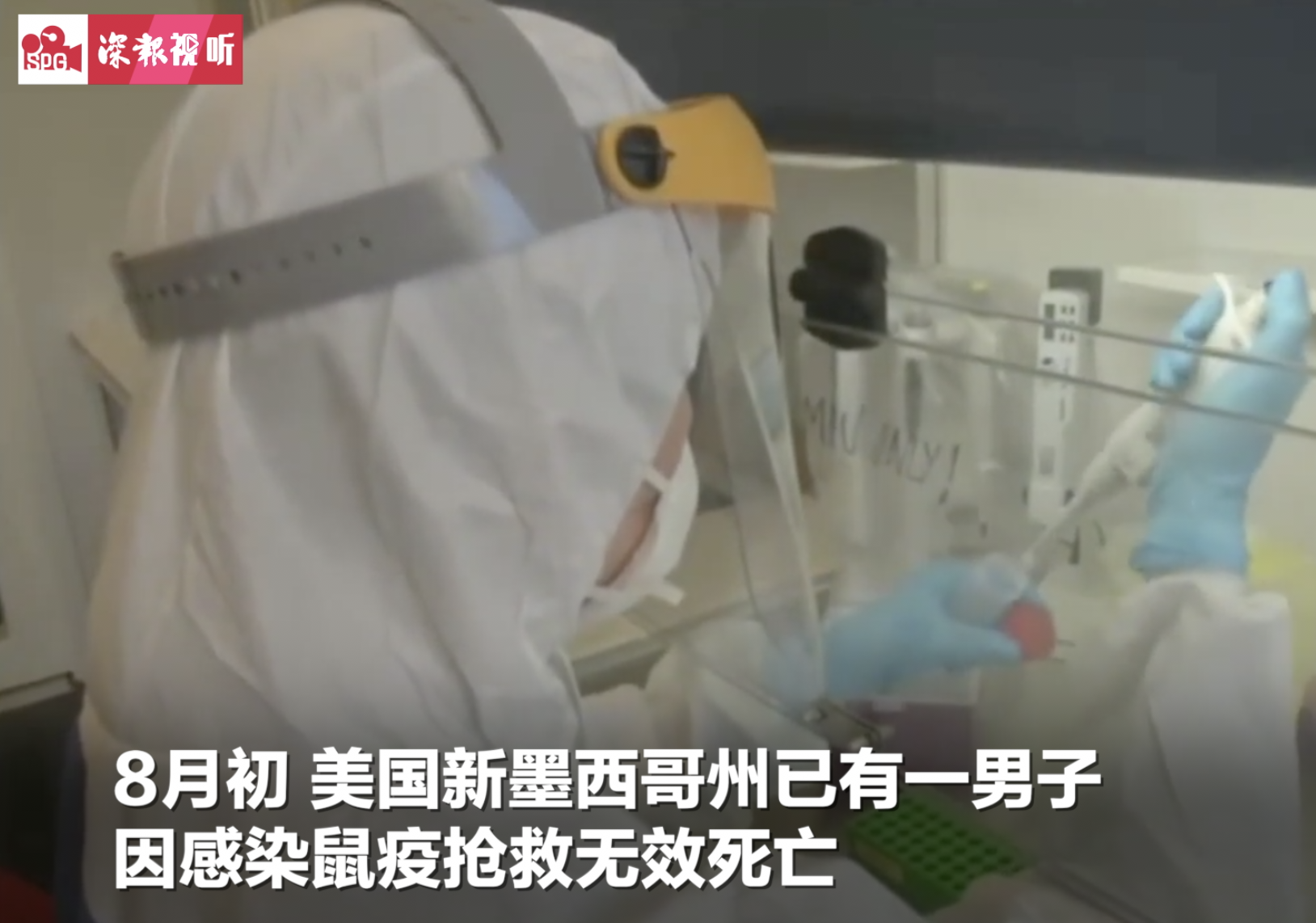 美国出现鼠疫，已有一人死亡