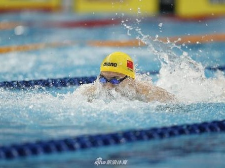 2021年游泳世界杯系列赛确定6站  中国济南将迎来世界高手