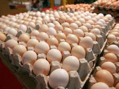 开学、中秋、国庆将近，多地提示鸡蛋价格上涨